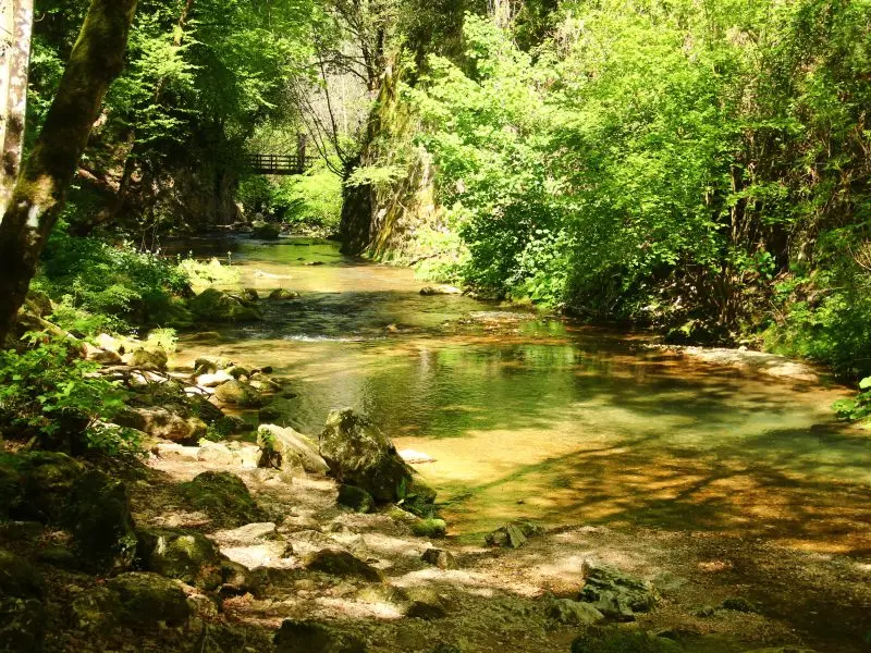 Valle dell&rsquo;Aniene. Tra natura e storia.