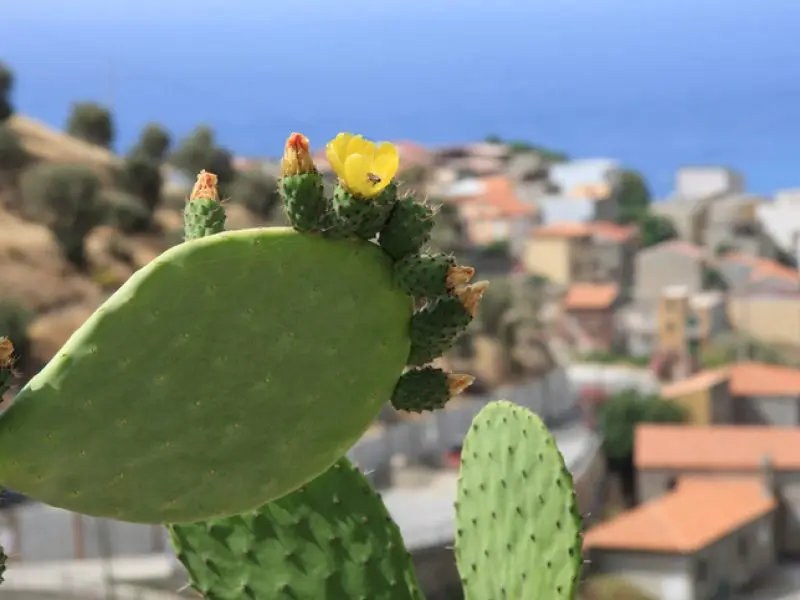 Sibari, citt&agrave; antica in Calabria