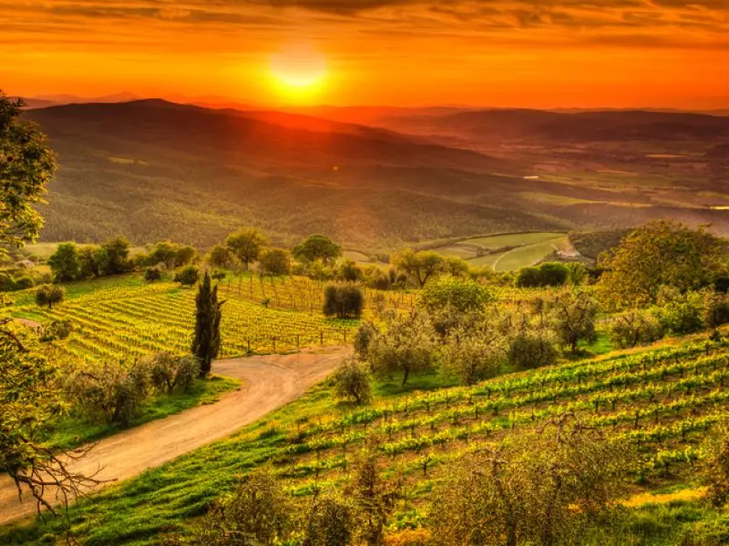 Esplorando il Fascino del Chianti: un viaggio tra vigneti e sapori