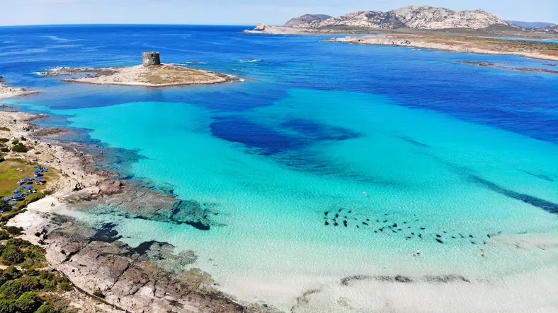 Stintino Spiagge. Paradiso di Sabbia Bianca e Mare Cristallino