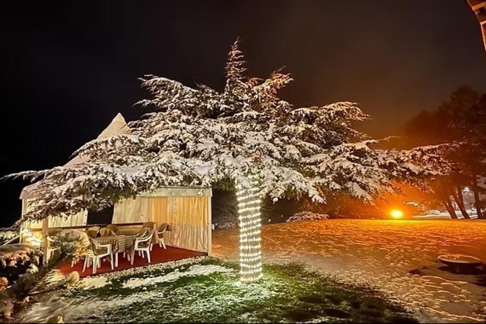 Park Hotel Regina delle Dolomiti