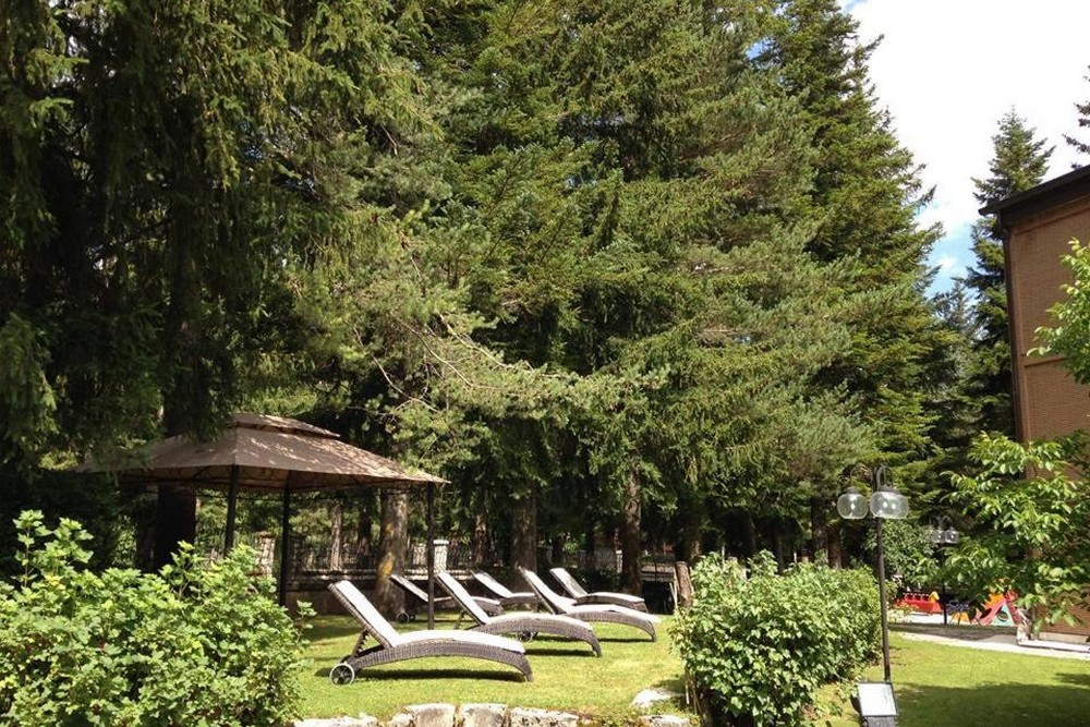 LH Albergo Il Picchio