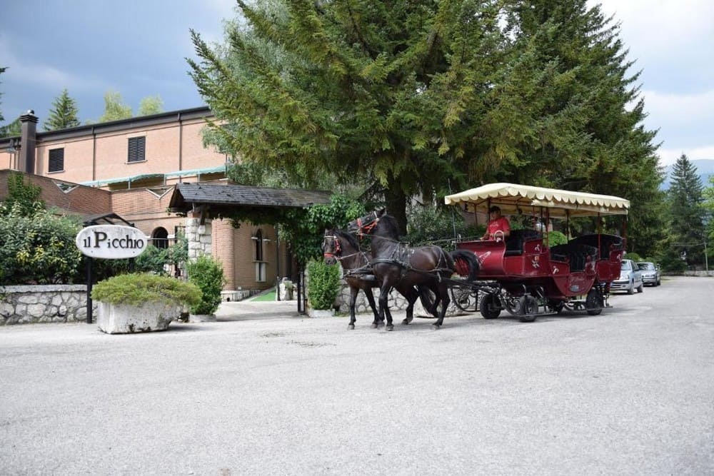 LH Albergo Il Picchio ESTATE