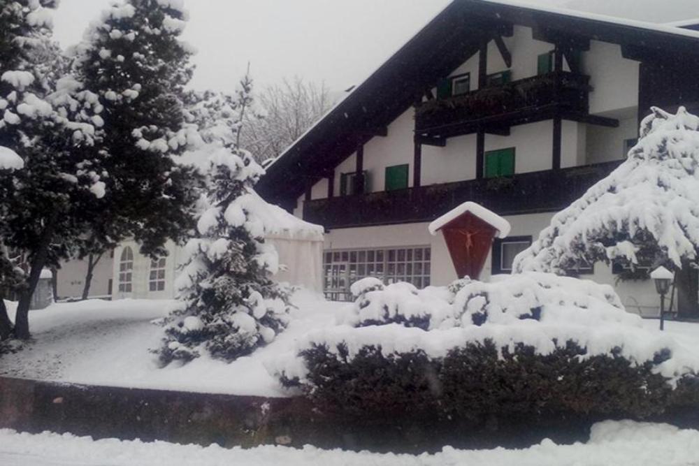 Park Hotel Regina delle Dolomiti