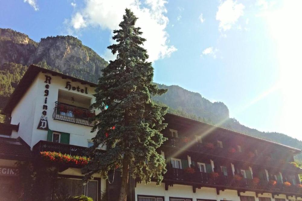 Park Hotel Regina delle Dolomiti