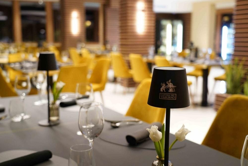 Hotel Lemi