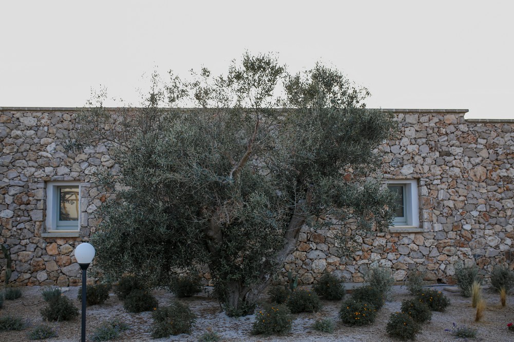 Volito Rural Experiences