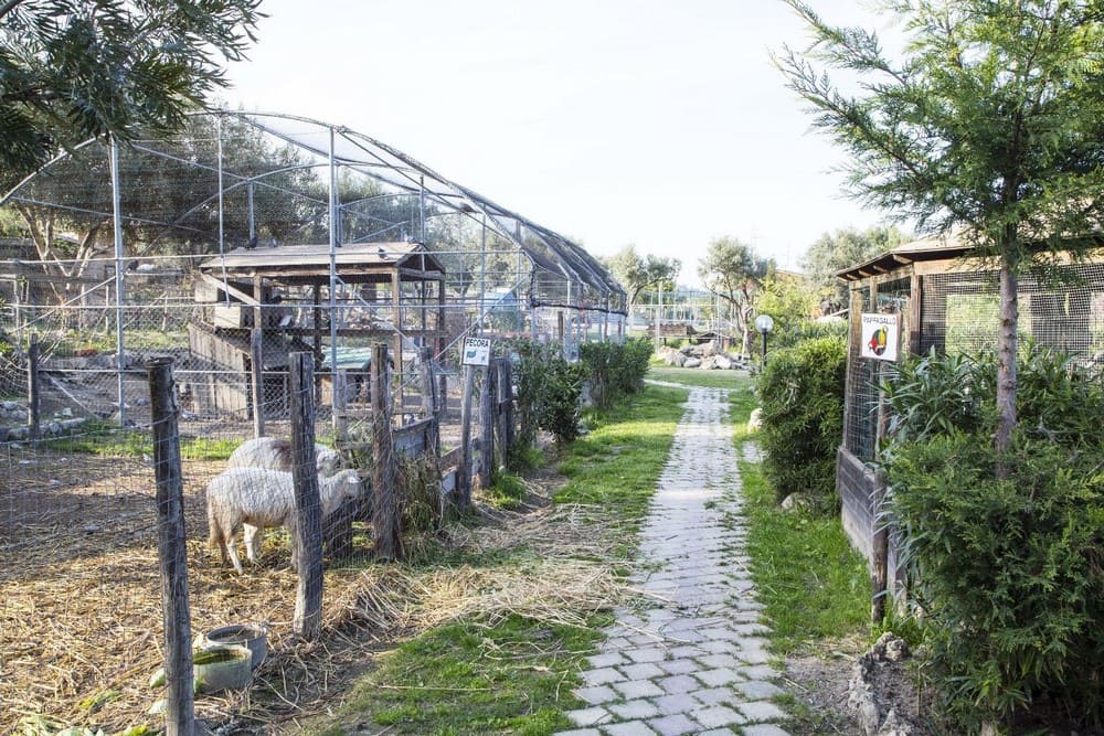 Agriturismo Fassi