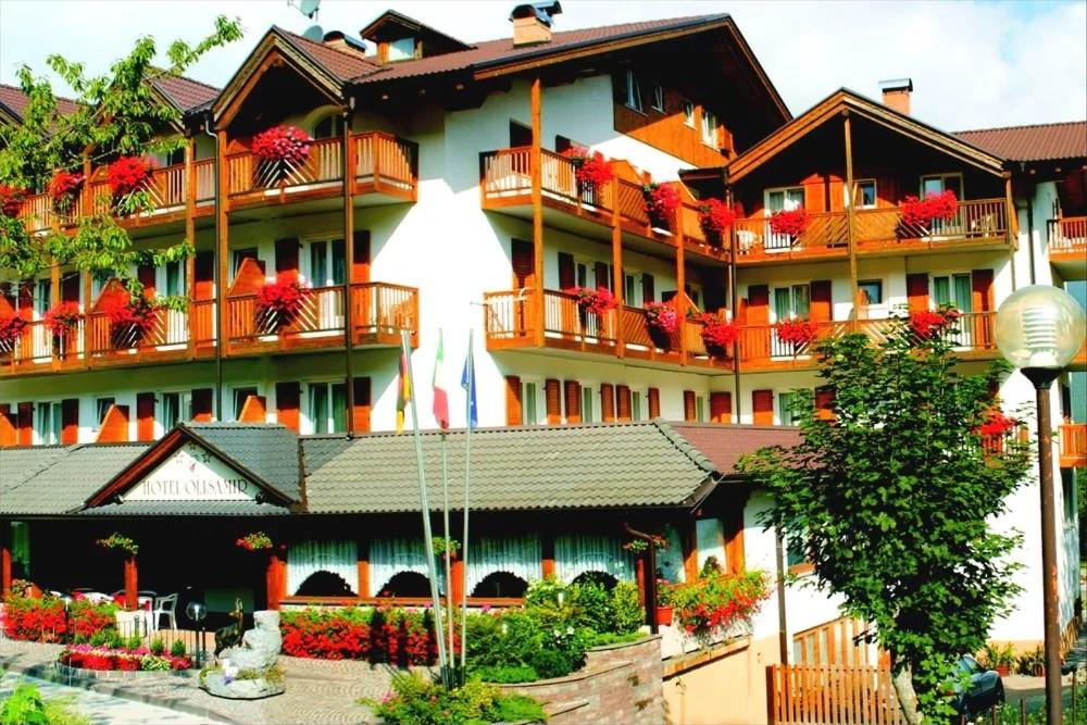 Hotel Olisamir