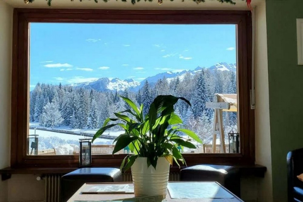 Formula Roulette Hotel Stella Alpina/Park Hotel Sancelso