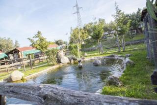 Agriturismo Fassi