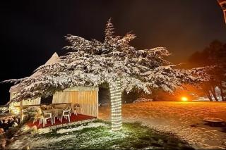 Park Hotel Regina delle Dolomiti