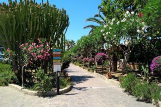 Hotel Club Calanovellamare