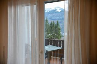 Park Hotel Regina delle Dolomiti