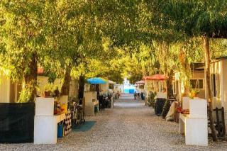 Camping Pitagora