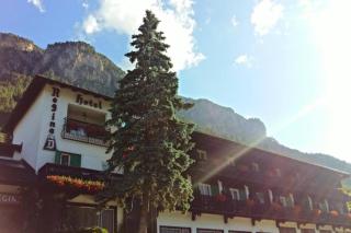 Park Hotel Regina delle Dolomiti