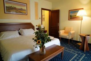 Hotel Lemi