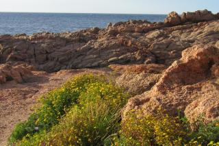 Marina Manna Hotel & Club Village