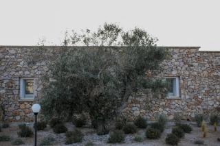 Volito Rural Experiences