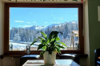 Formula Roulette Hotel Stella Alpina/Park Hotel Sancelso