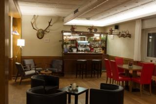 Formula Roulette Hotel Stella Alpina/Park Hotel Sancelso