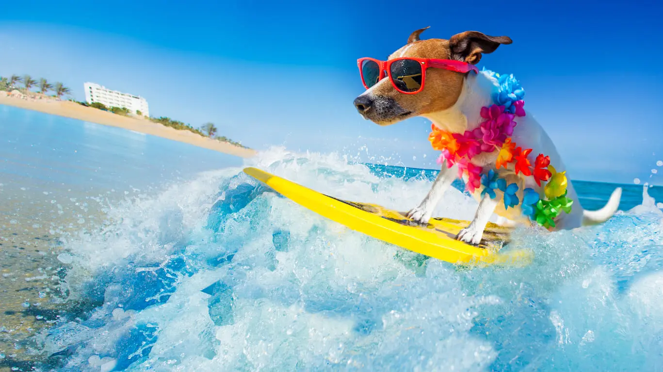 iStock-912592258 (1)
